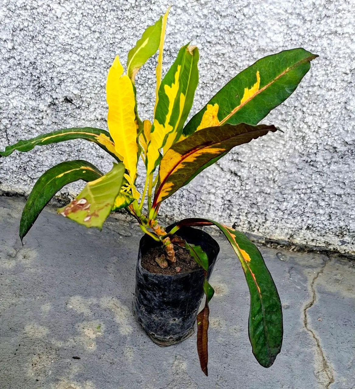 Vendo  - Foto 2
