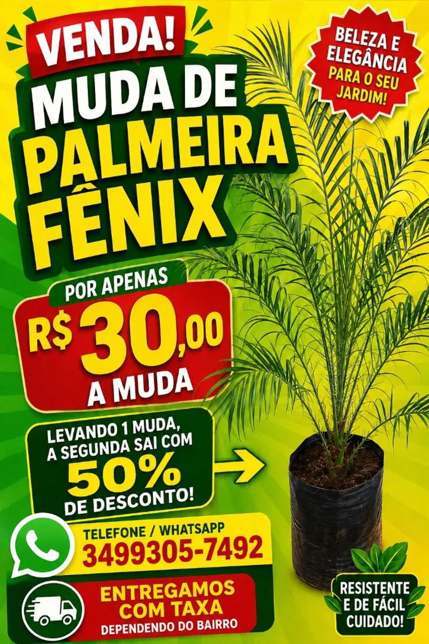 Palmeira Azul venda 