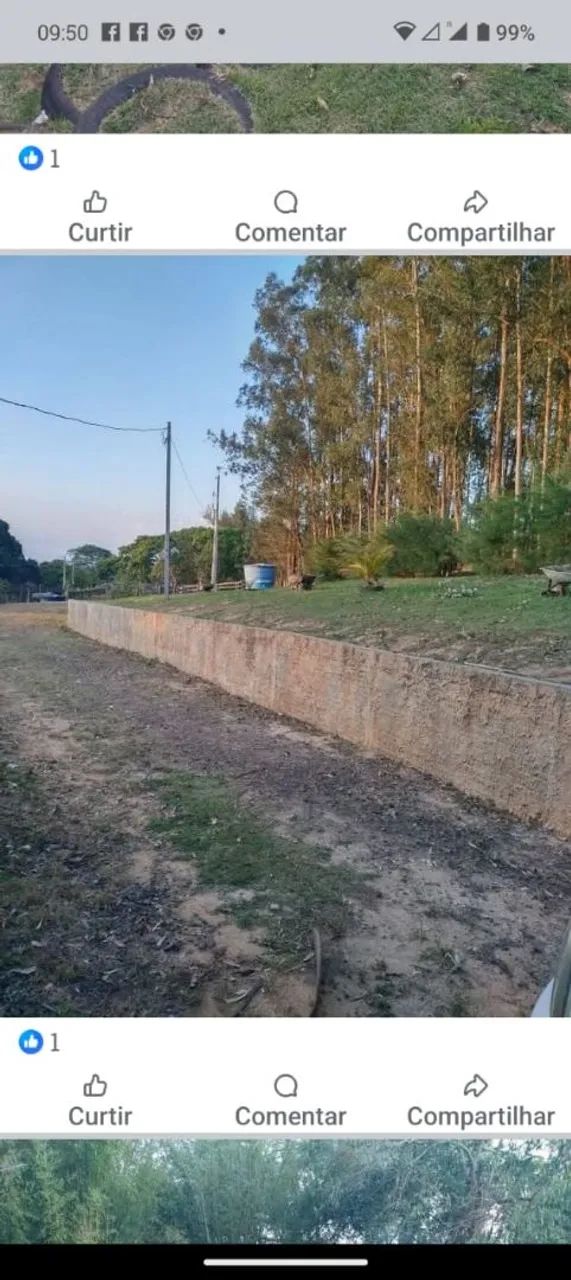 Chacara em Japira pr - Foto 5