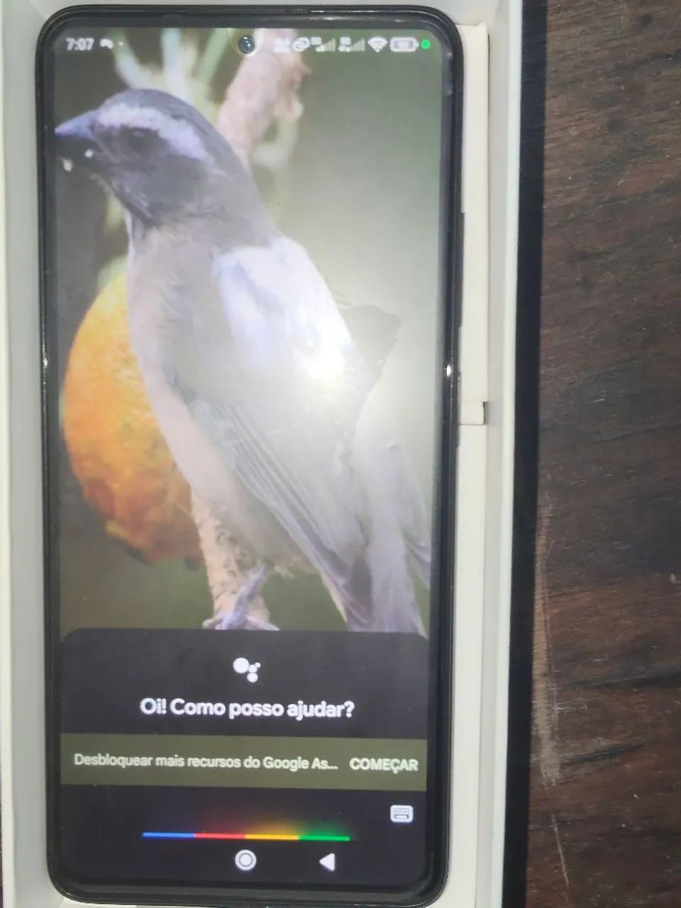 Celular xiaomi redmi note 11 pro+ 5 g 256gb 8RAM - Foto 2