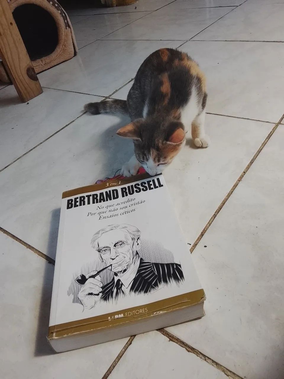 Momento de leitura  - Foto 2