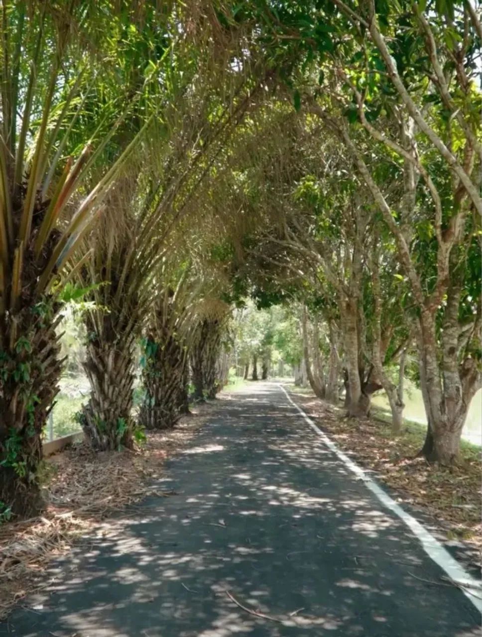 Terreno em condomínio  - Foto 4