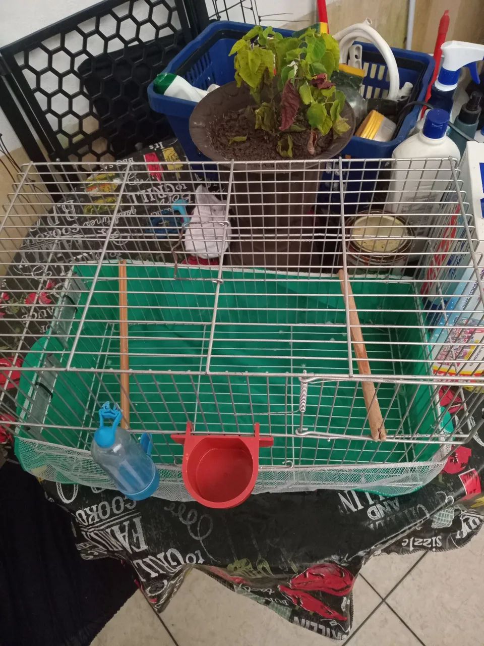 Gaiola Média (para aves pequenas) - Foto 4