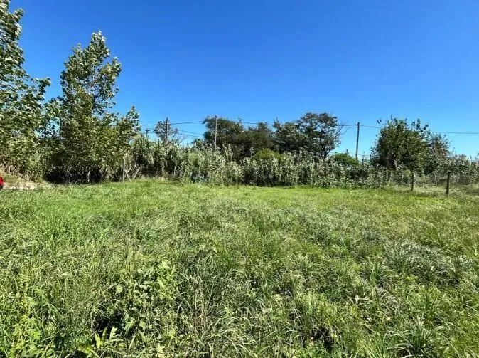 Terreno no Bosque da Saúde - Foto 4
