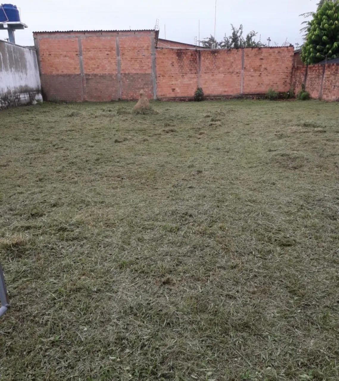 Terreno  - Foto 2