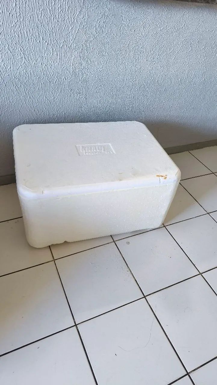 Vendo caixa de Isopor 80 litros  - Foto 2