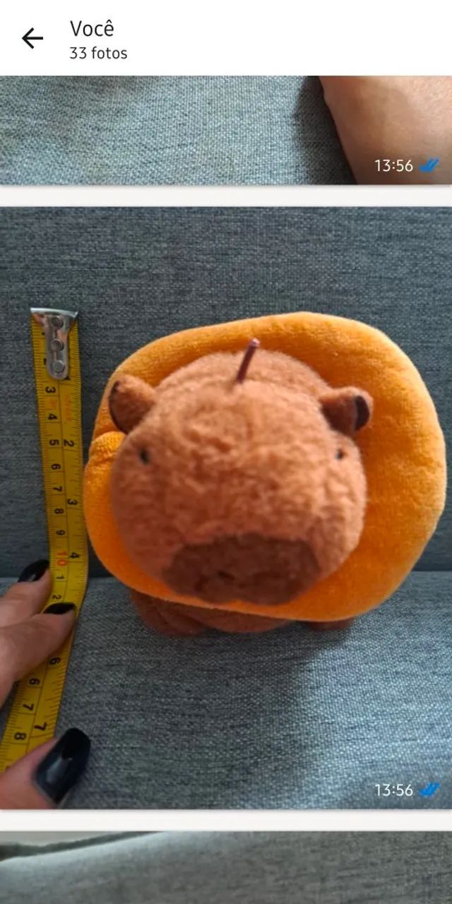 Pelúcia Capivara com boia - Foto 3
