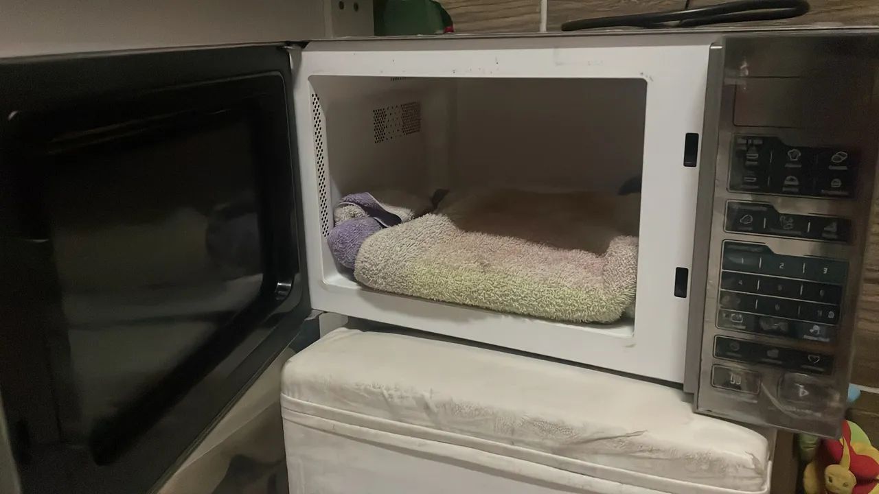 Microondas  - Foto 3