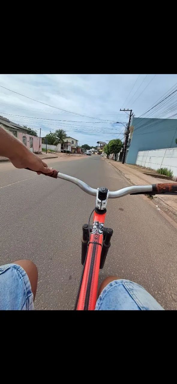 Guidom voador  - Foto 2