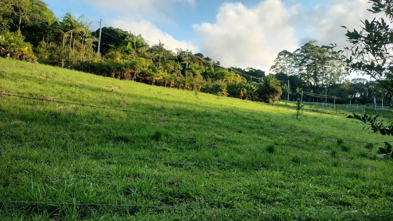 Foto - Juquitiba - 