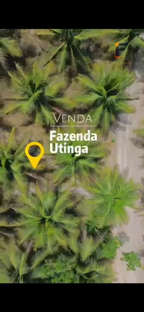 Fazenda Atalaia/ Pilar 