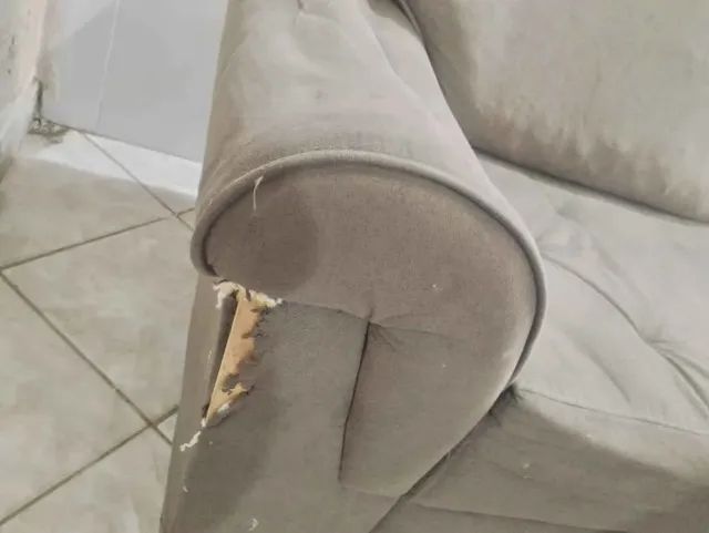 sofa