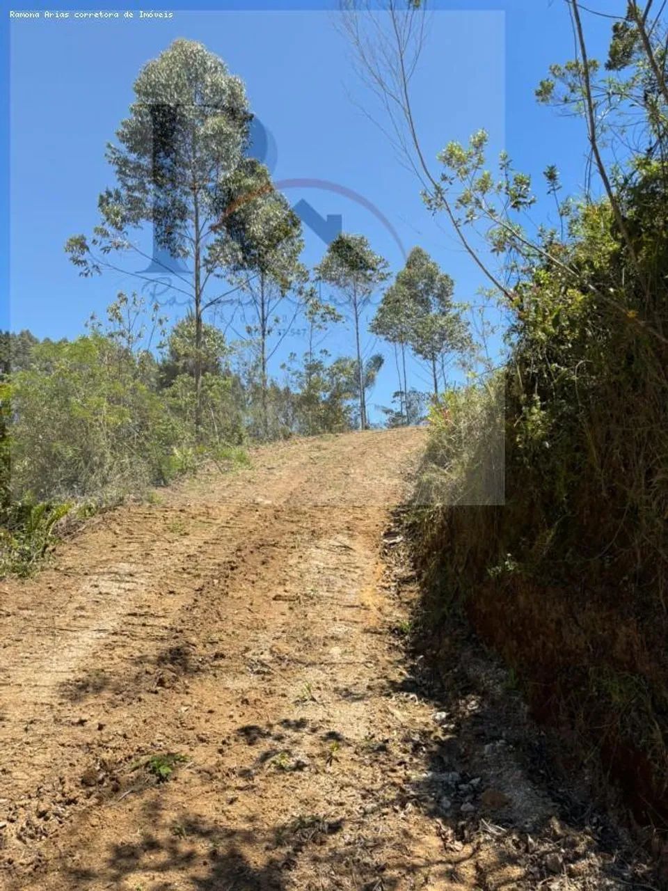 Sítio para Venda em Anitápolis - Foto 4