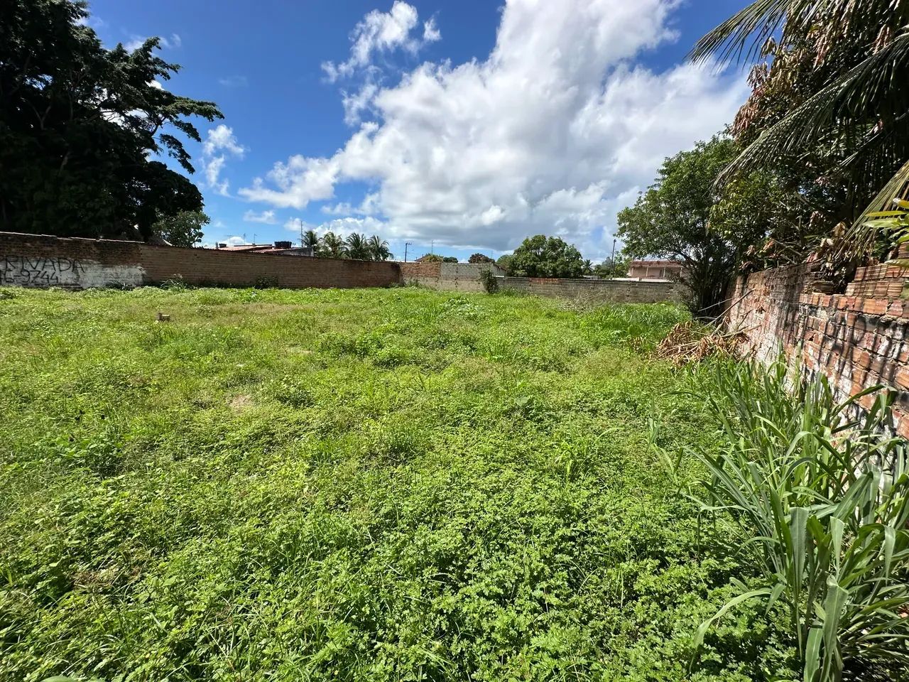 Próximo A PRAIA DO FRANCÊS Area para venda tem 960m2 - Marechal Deodoro - AL - Foto 3