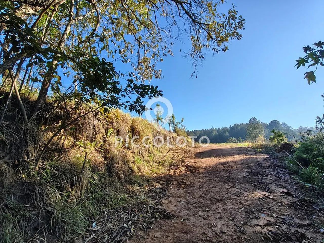 Terreno à venda em Campinas, Joaquim Egídio, com 26523 m² - Foto 5