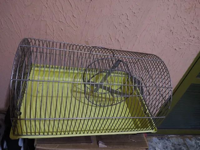 Gaiola para ramerter  - Foto 2