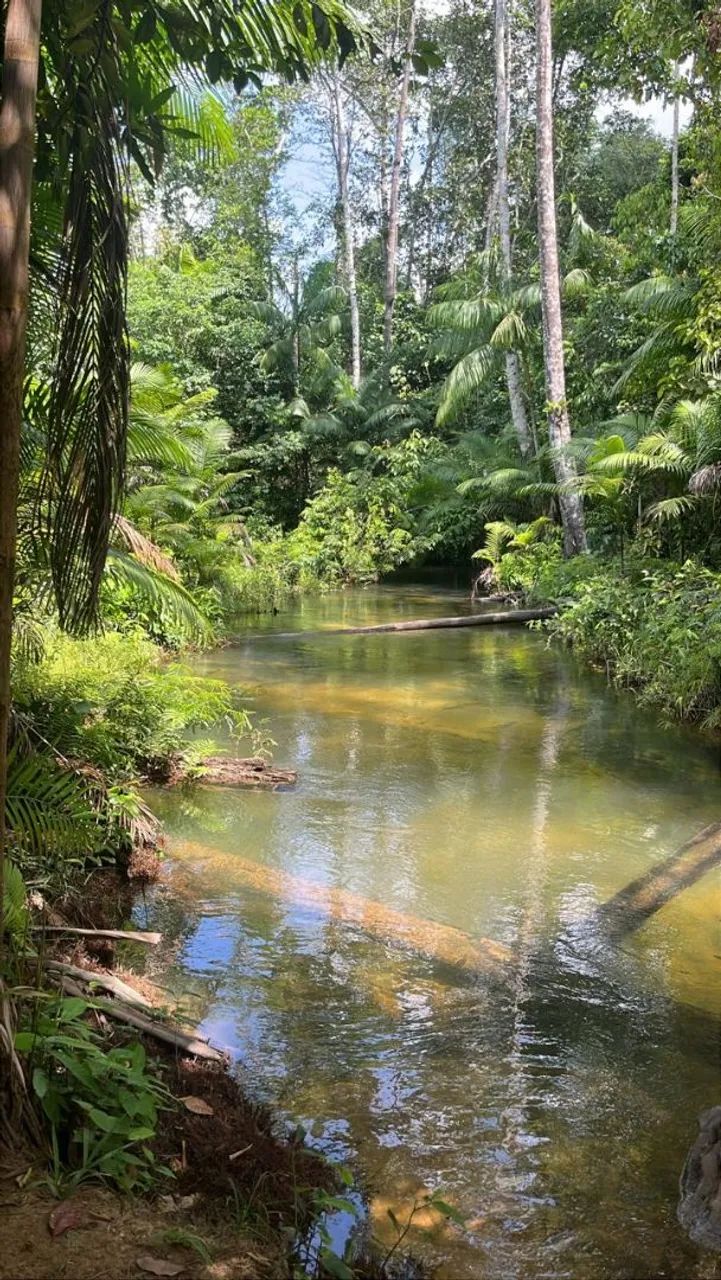 Foto - Santarém - Diamantino