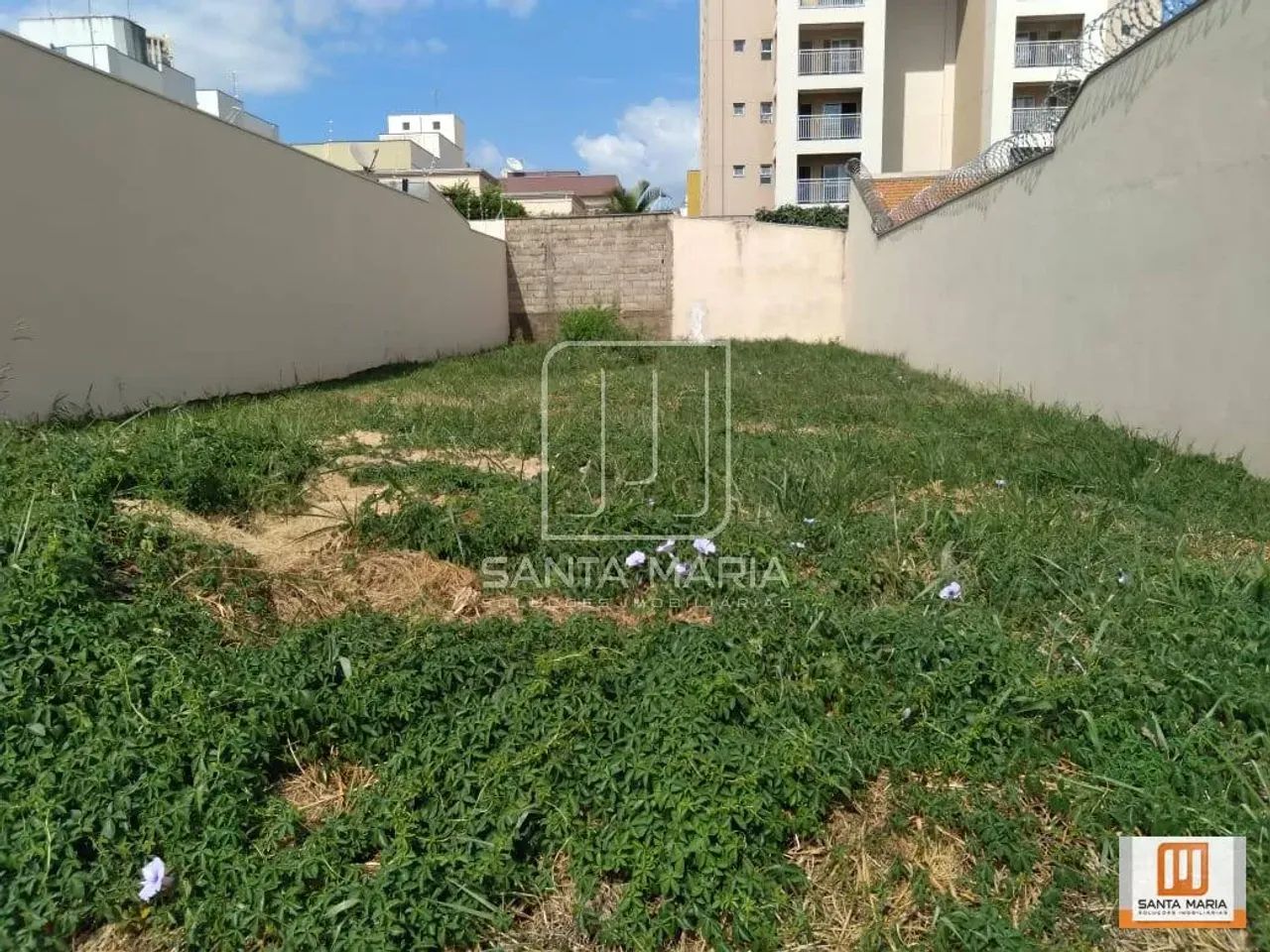 Terreno (terreno normal) - Foto 2