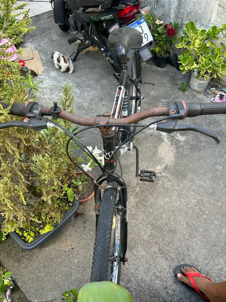 Bicicleta  - Foto 4