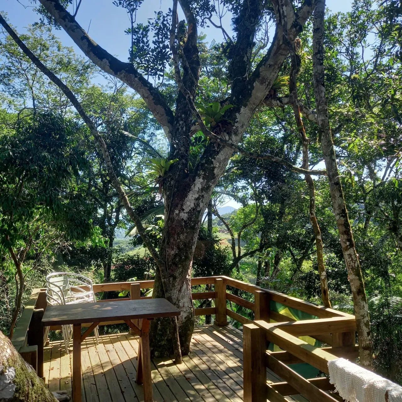 CASA NA ÁRVORE  - Foto 5