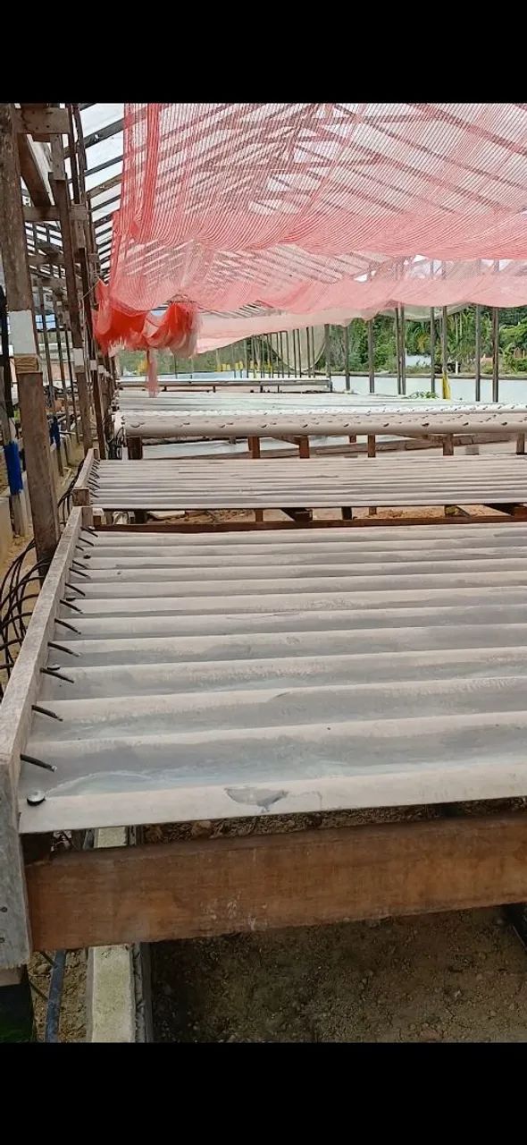 Vendo Hidroponia chácara sitio - Foto 3