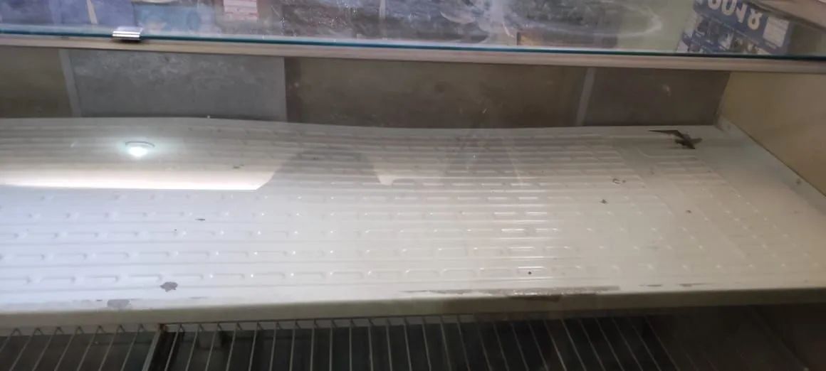 Vendo freezer - Foto 3