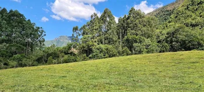Sitio em Alfredo Wagner- 88000 m² - Foto 5