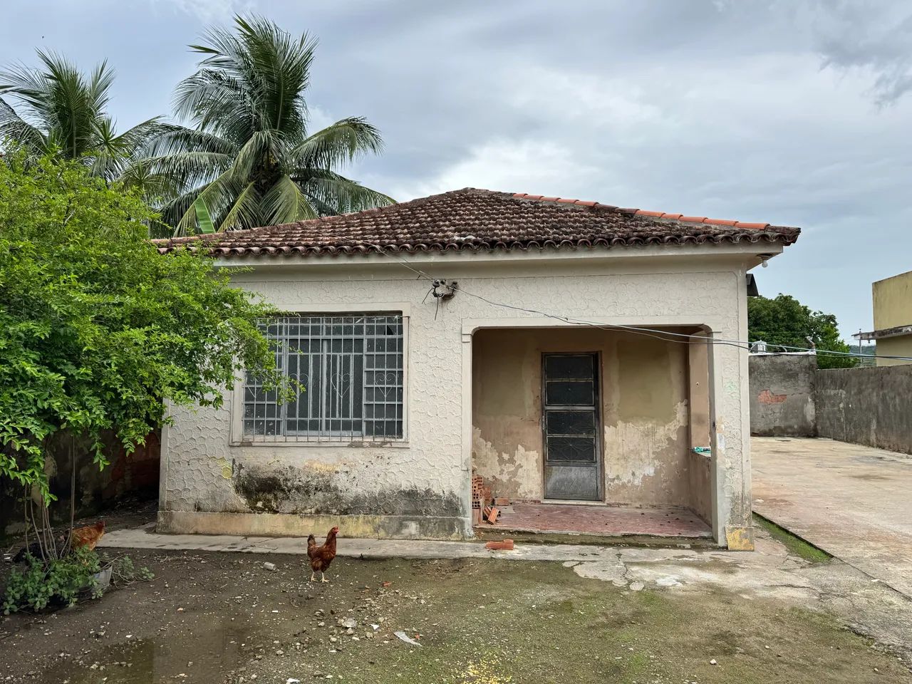 ALUGO ESTE TERRENO/VENDO ELE COMPLETO OU METADE DELE - Foto 3