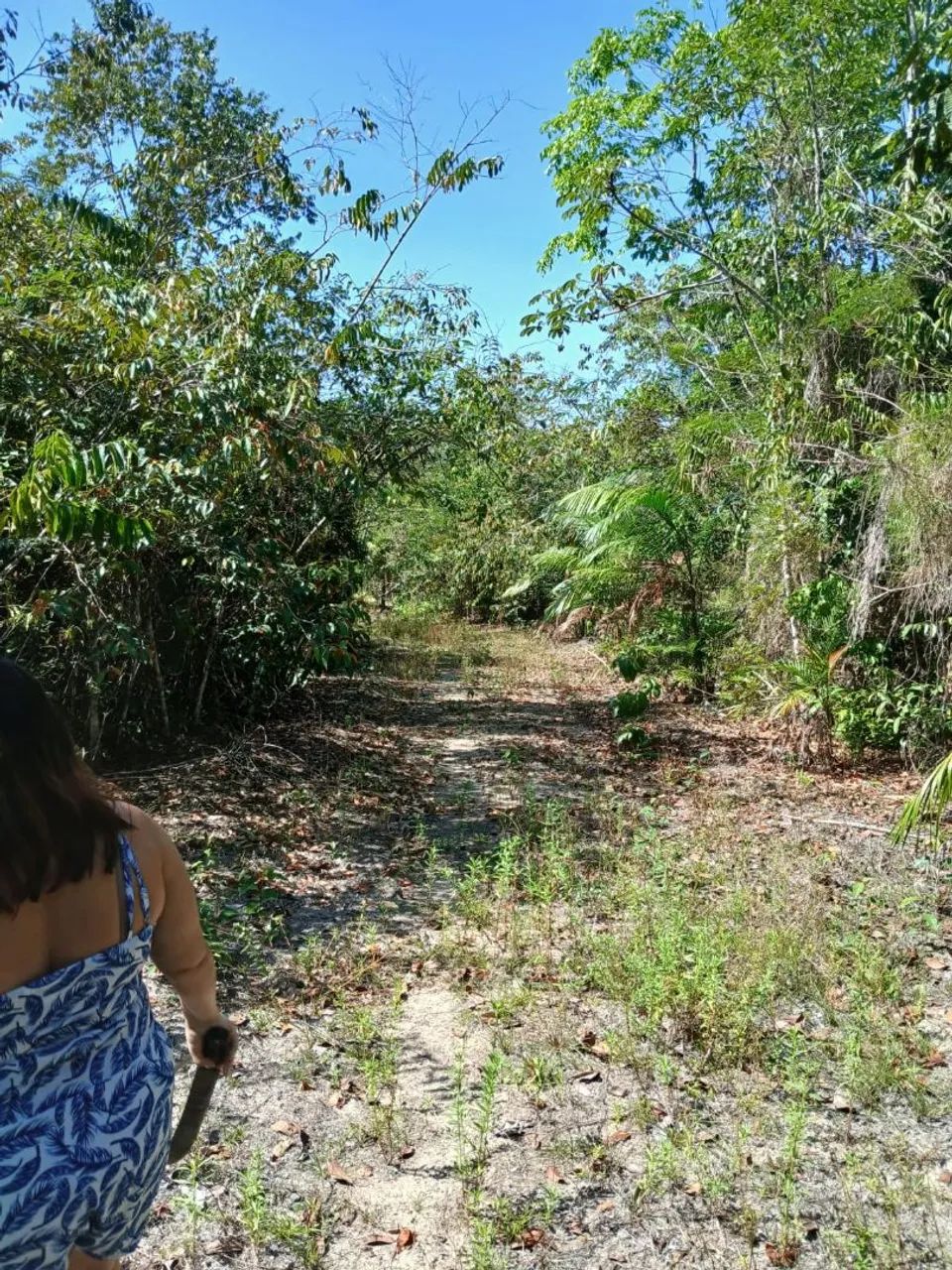 Vendo sítio, 8.013 hectares, Bujaru  - Foto 4