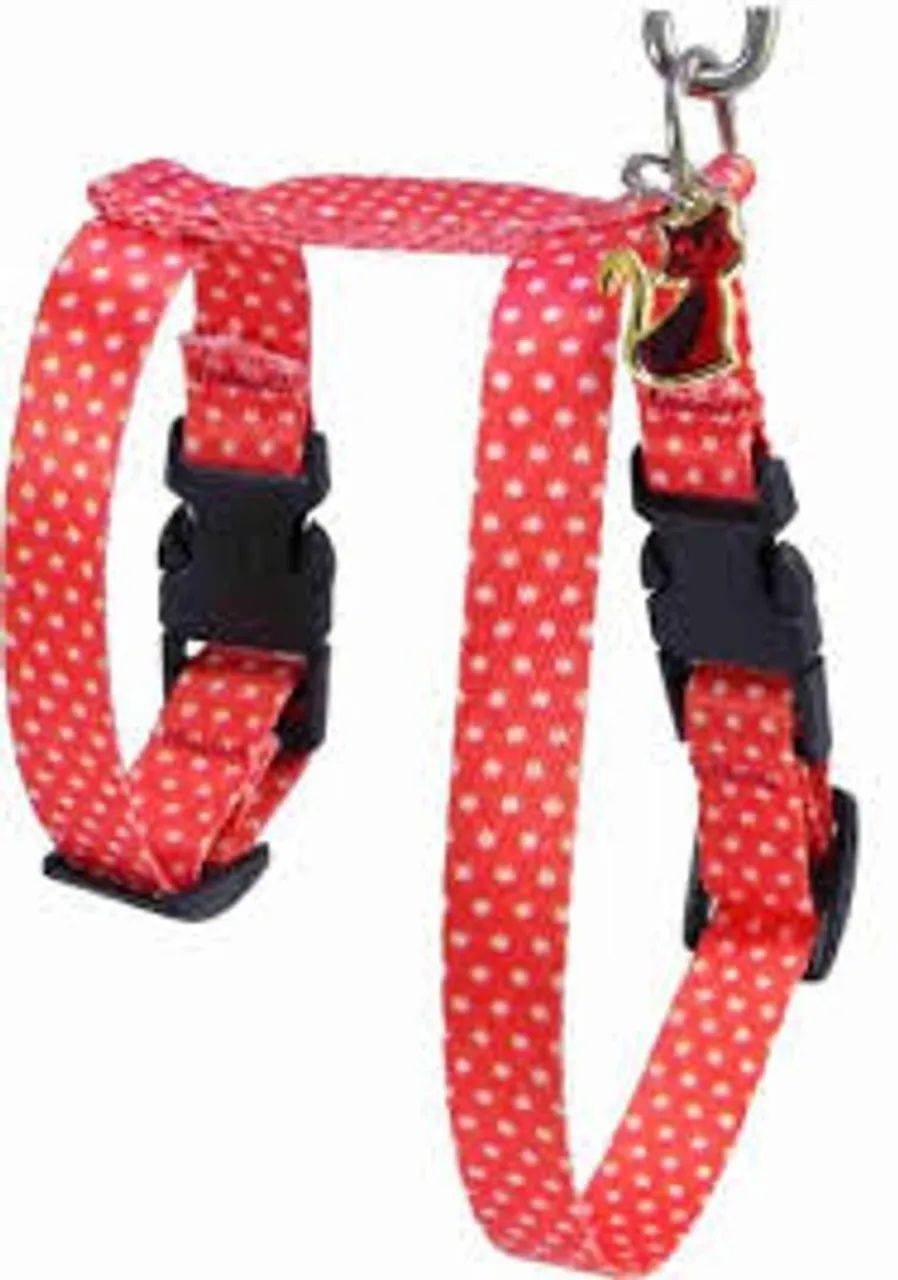 conjunto peitoral nylon gato coltelli - Foto 2