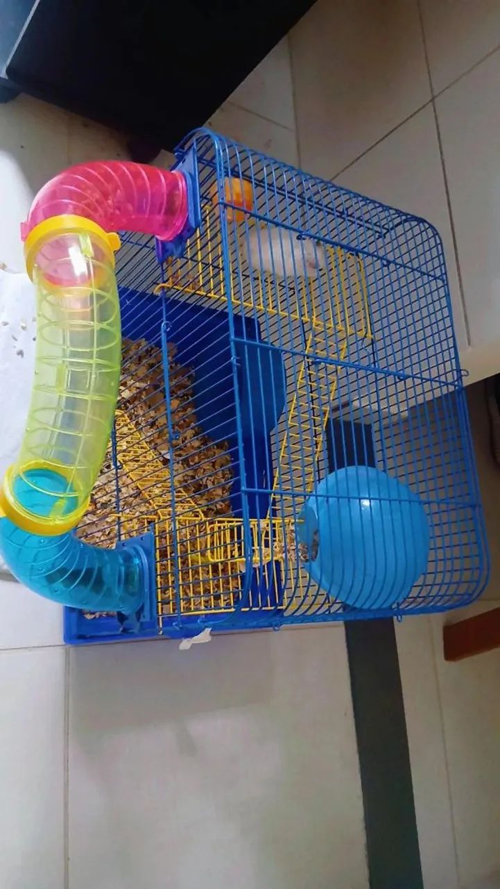 Vendo Ramister  - Foto 3