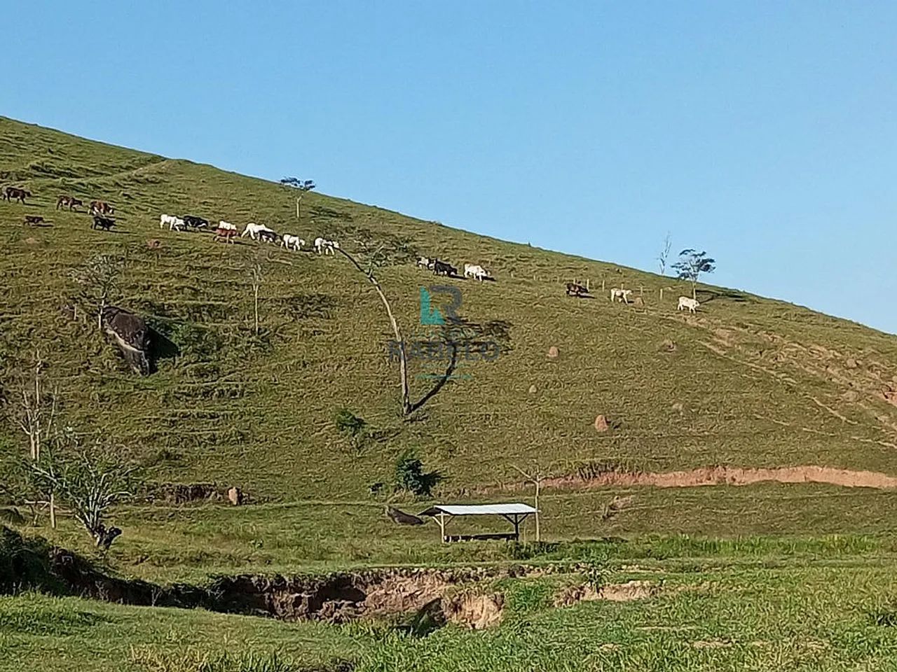 SÍTIO FORMADO COM RIO E LAGO Á VENDA EM LORENA-SP - Foto 3