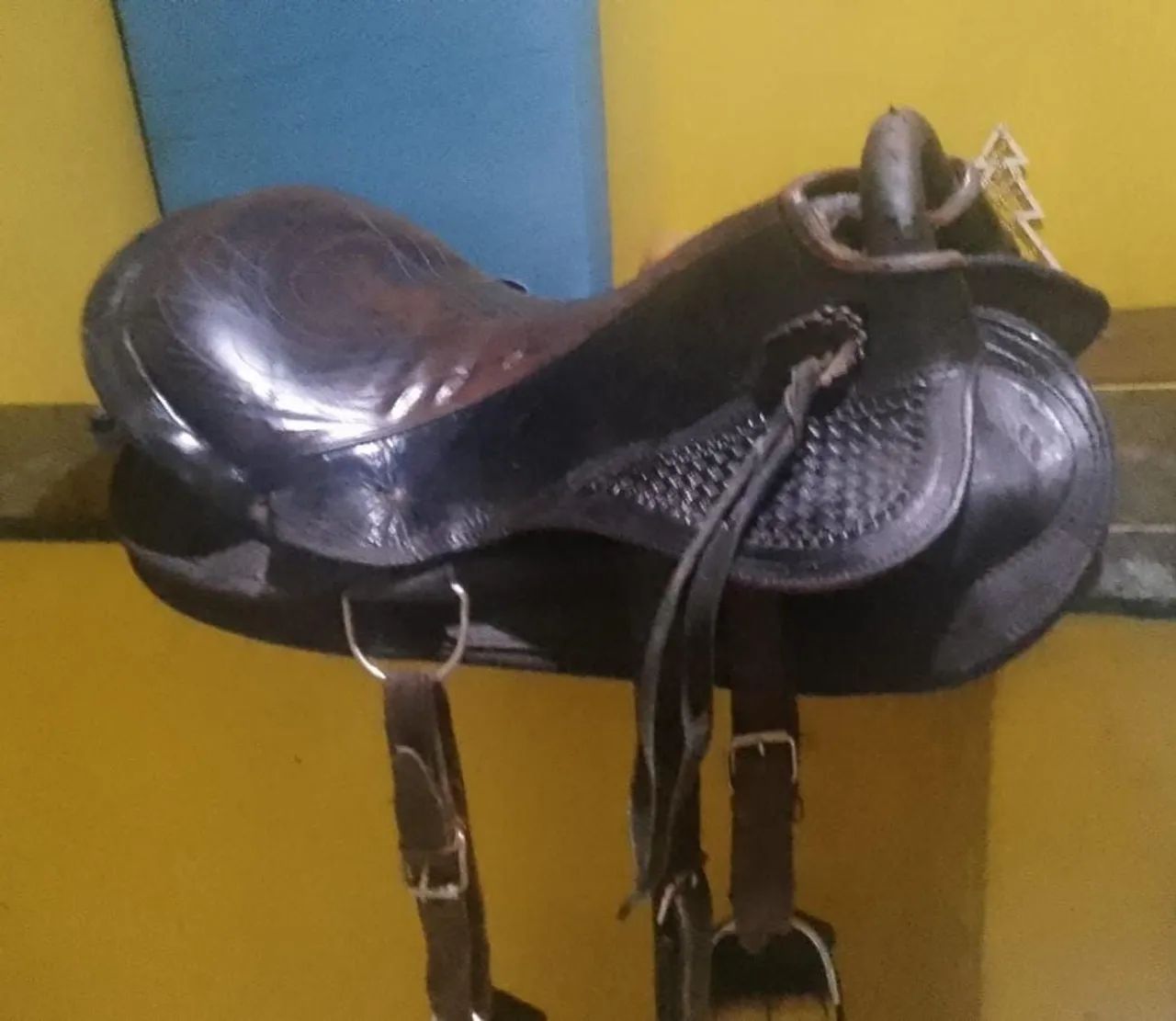 Cela completa pra sua cavalgada  - Foto 2