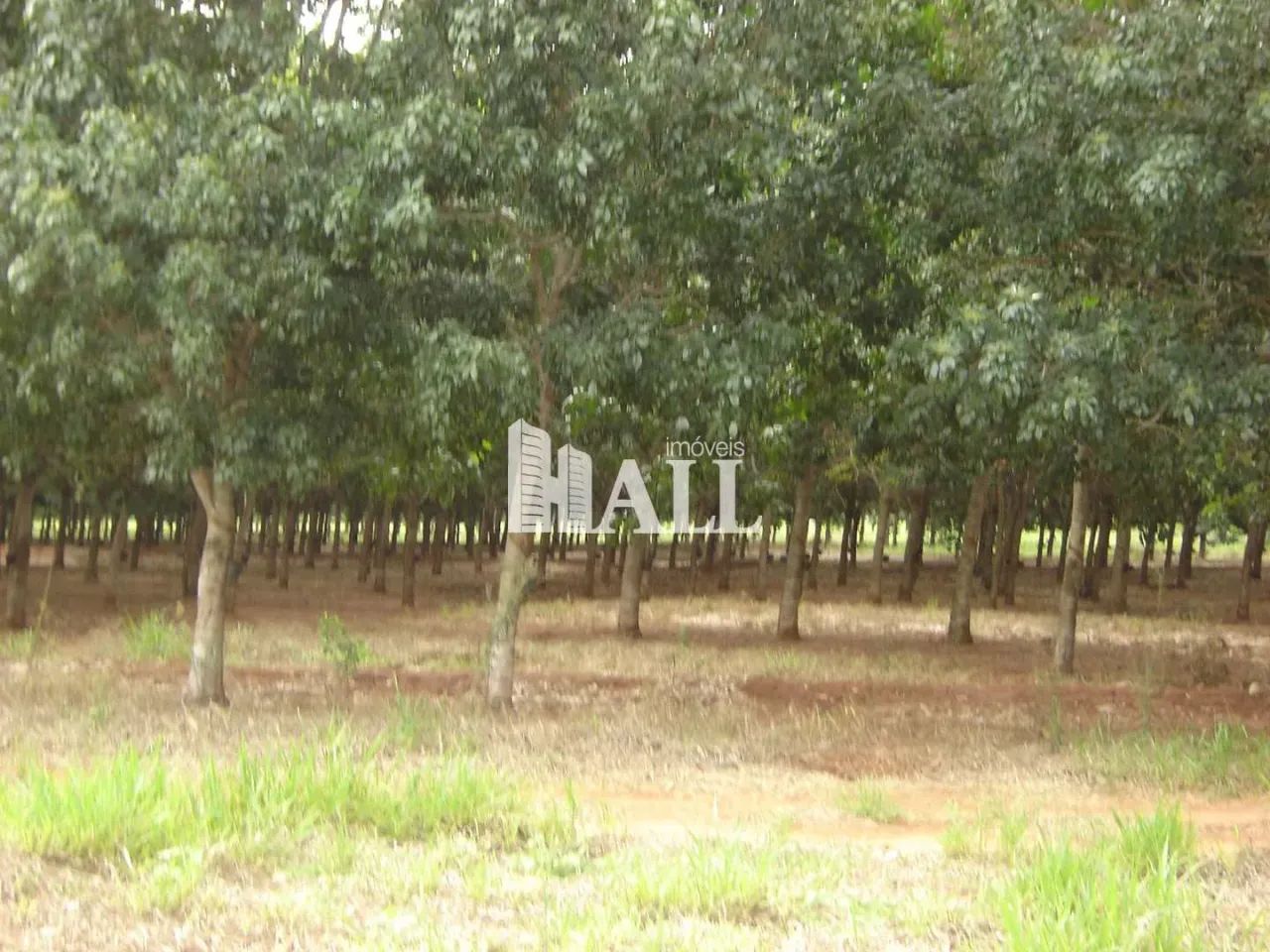 Fazenda com 2 quartos, Centro, Caiuá - Foto 2