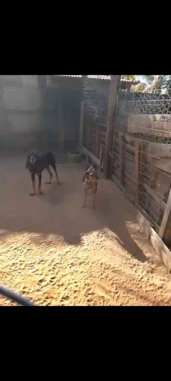 Quer qualidade e função  CASAL TOP - Foto 4