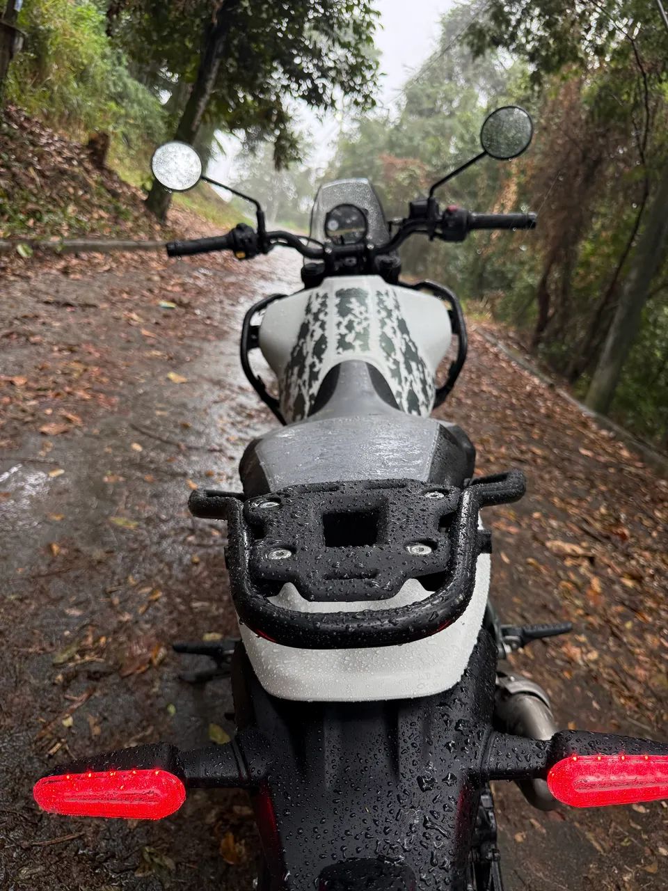 Himalayan 450  - Foto 5