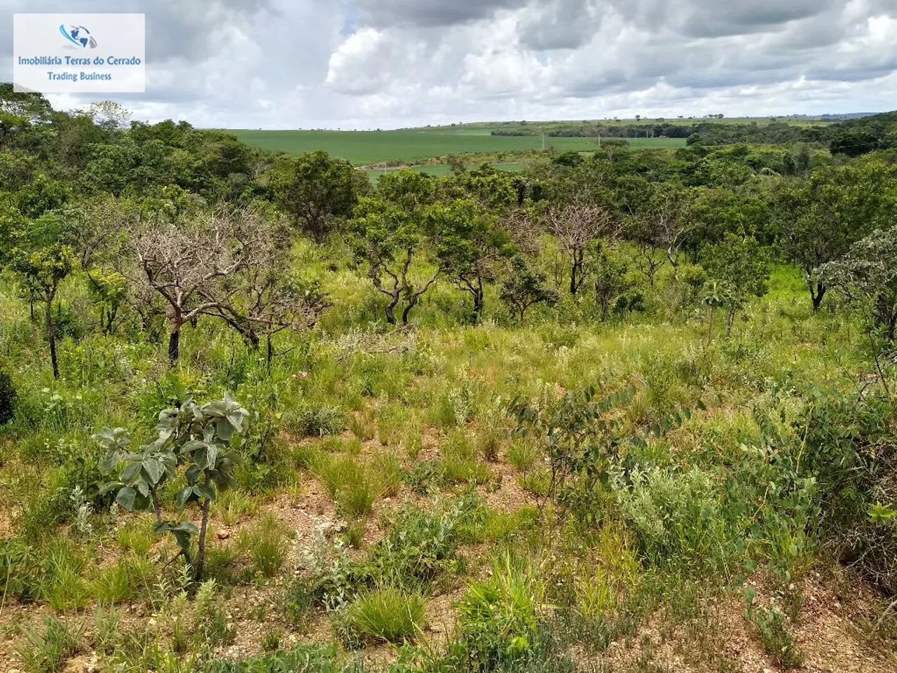 FAZENDA COM 500HA PRA SOJA IRRIGADA JA COM OUTORGA DE ÁGUA - Foto 5
