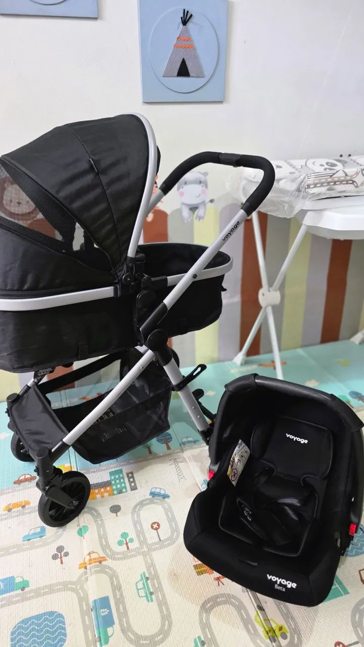 Carrinho Moisés com bebê conforto 
