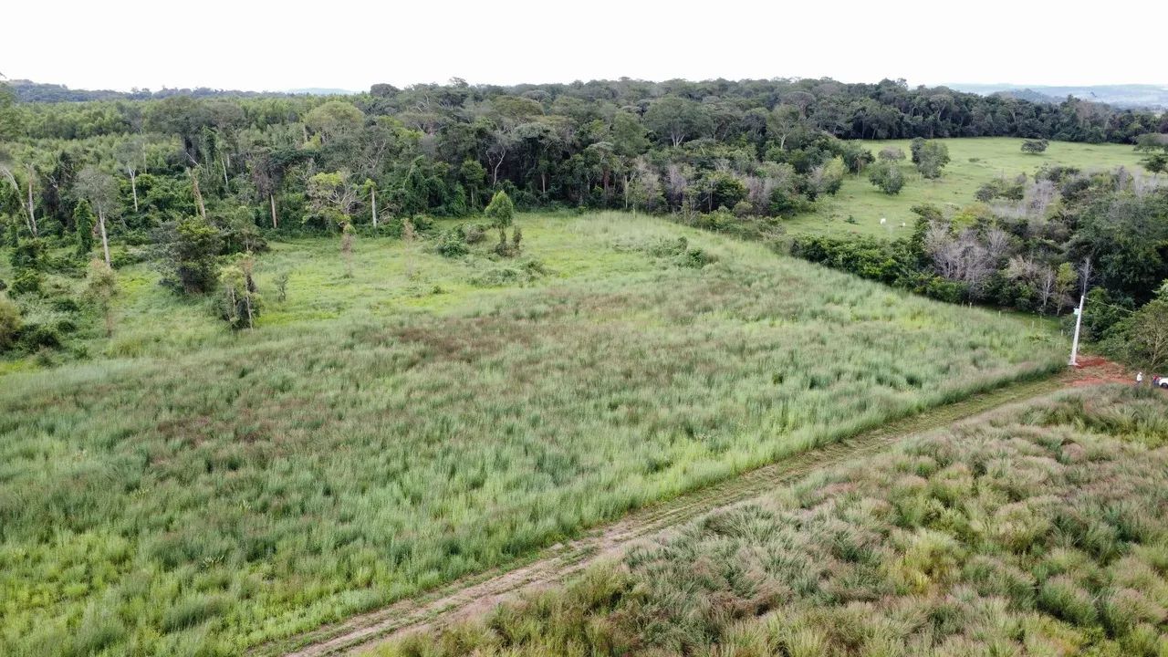 Chácara 22.000 M2 em Nerópolis  - Foto 4