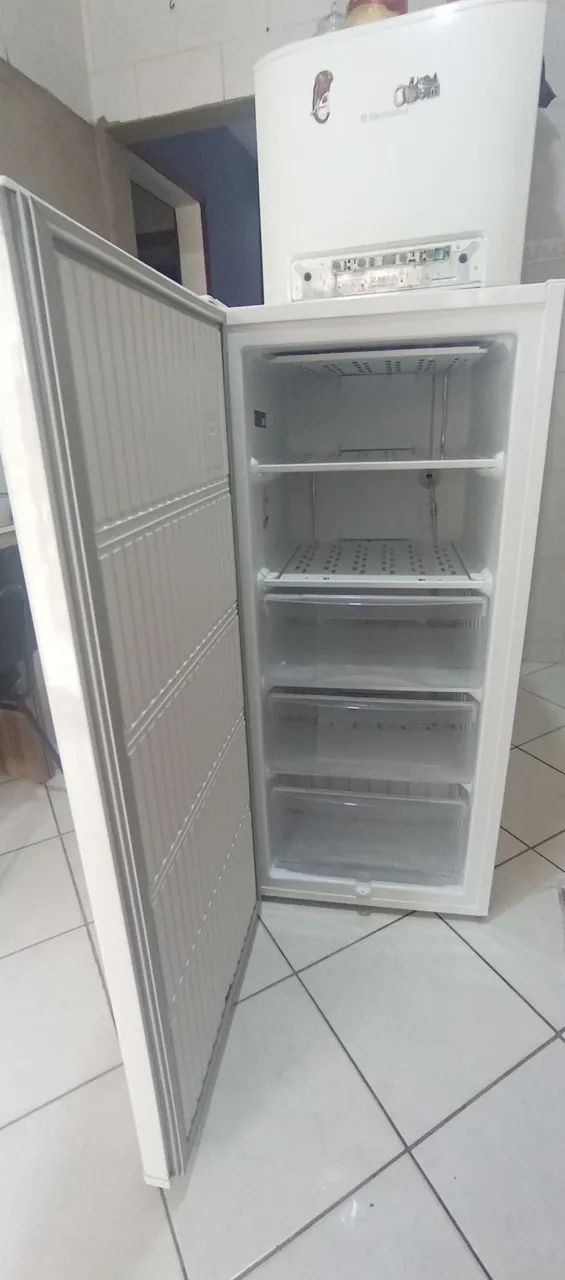 Freezer Electrolux Defrost  - Foto 2