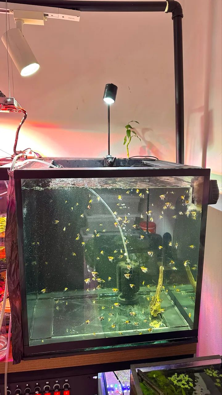 Vendo Aquário 150L