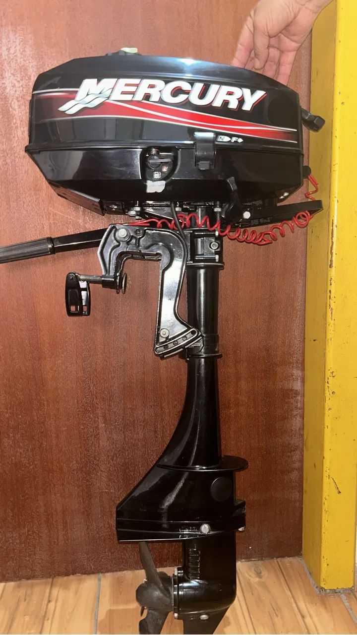 Motor mercury