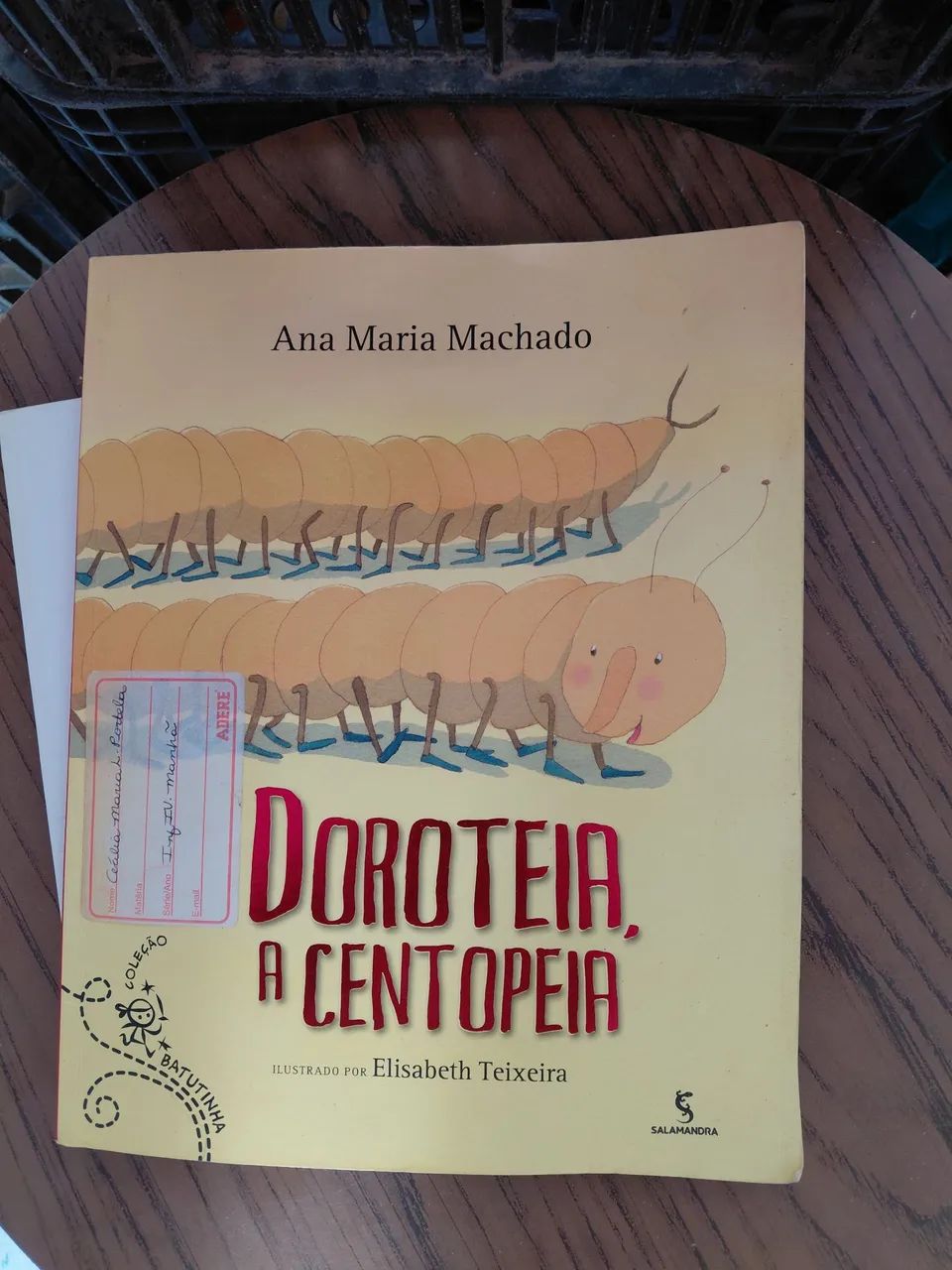 Livro Dorotéia,  a centopeia 