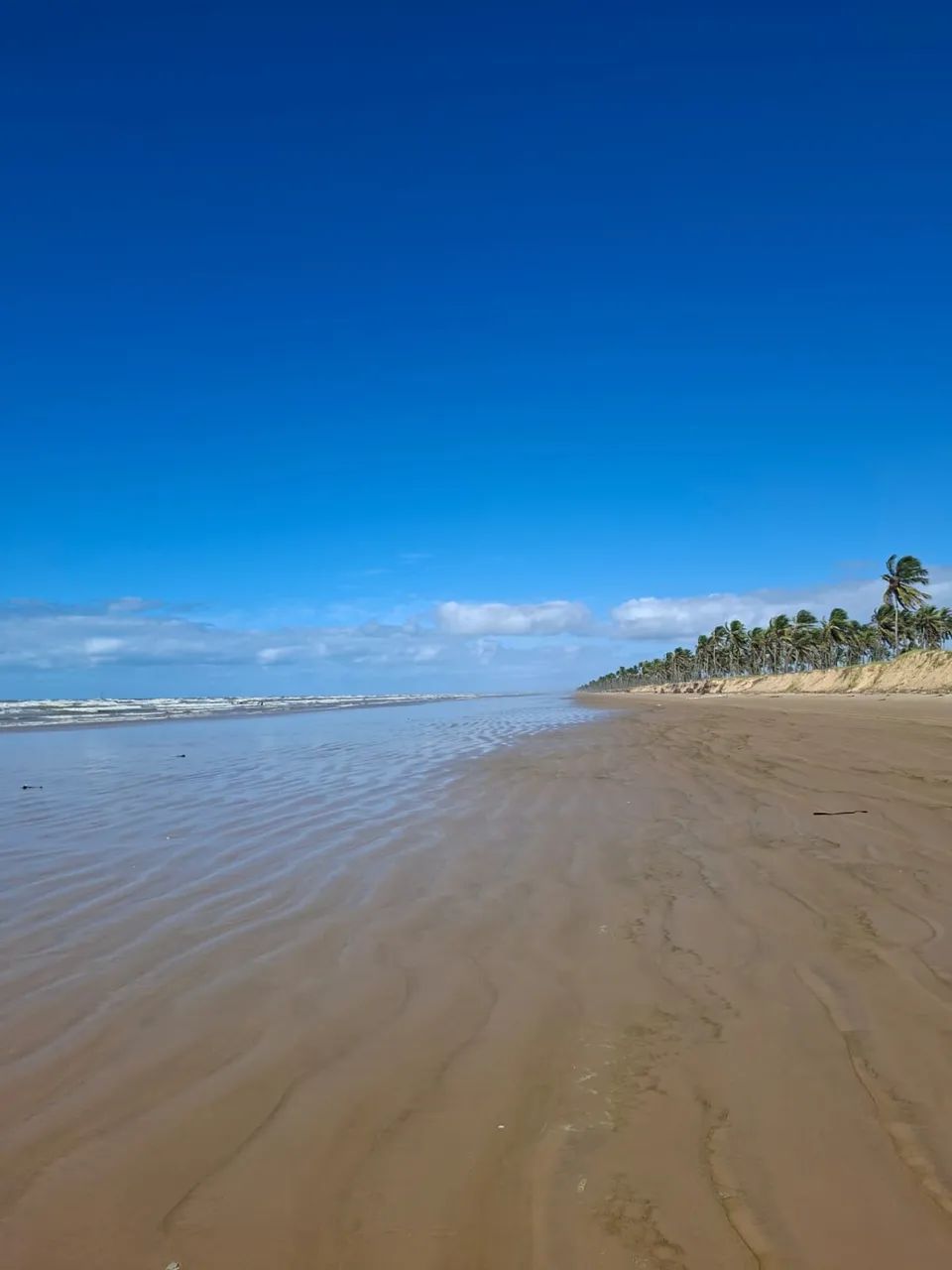 LOTE MALIBU BEACH RESIDENCE