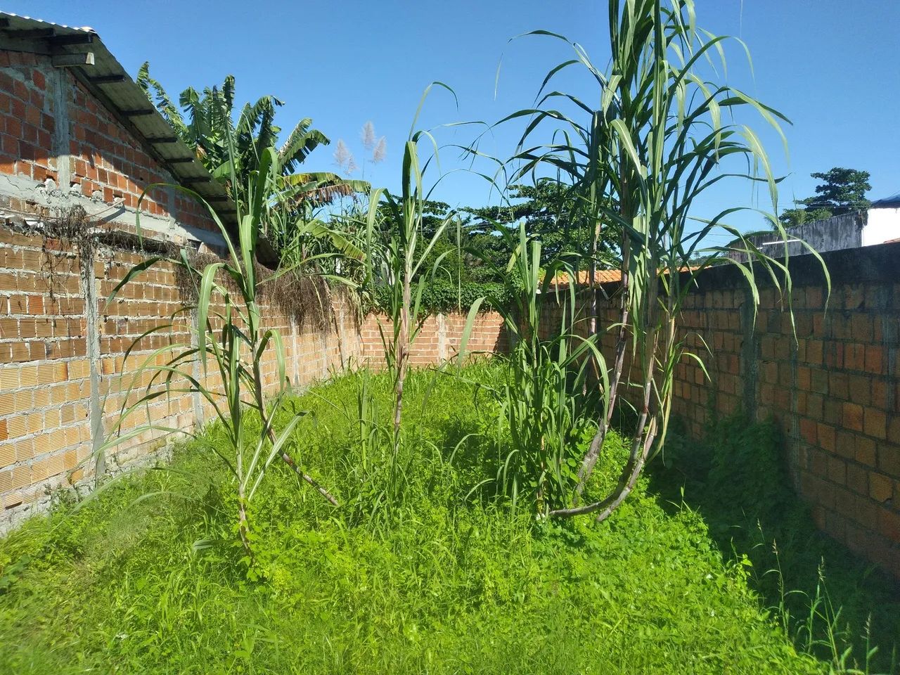 Ccondomínio fechado , murado . - Foto 2