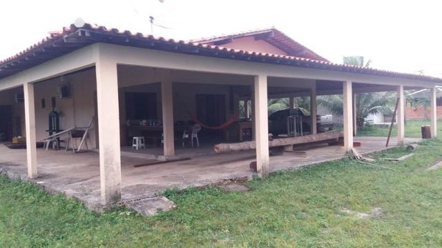 Fazenda montada em Itapecuru-Ma, 200 hectares,margeada pelo Rio Itapecuru! - Foto 12