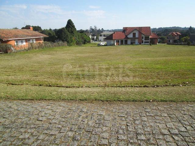 Terreno com 1250m² Campo Largo da Roseira, São José dos Pinhais - Foto 7
