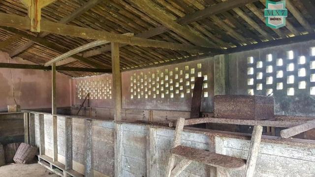 Ubaitaba. Fazenda de 450 Hectares, produção de cacau e gado, completa infraestrutura. - Foto 8