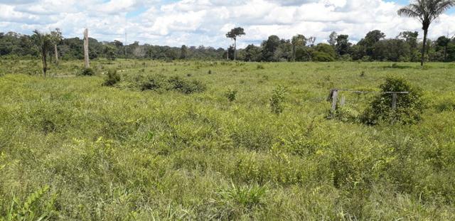 Fazenda em Roraima top - Foto 3