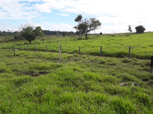 Imperdível fazenda em Roraima Caroebe - Foto 11